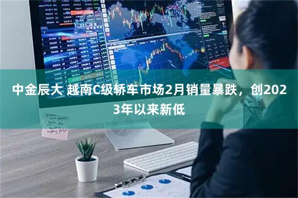 中金辰大 越南C级轿车市场2月销量暴跌，创2023年以来新低