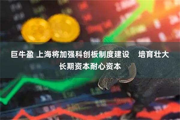 巨牛盈 上海将加强科创板制度建设    培育壮大长期资本耐心资本