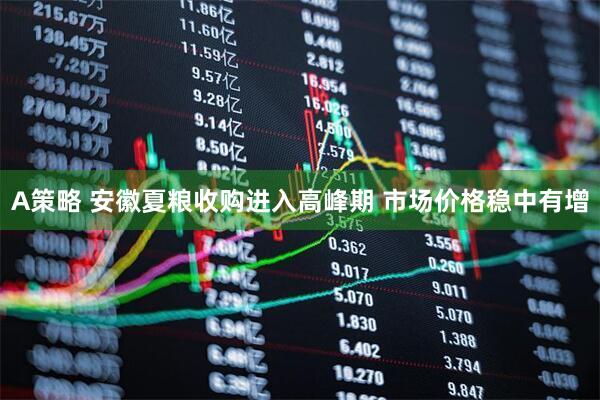 A策略 安徽夏粮收购进入高峰期 市场价格稳中有增