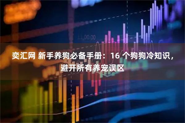 奕汇网 新手养狗必备手册：16 个狗狗冷知识，避开所有养宠误区