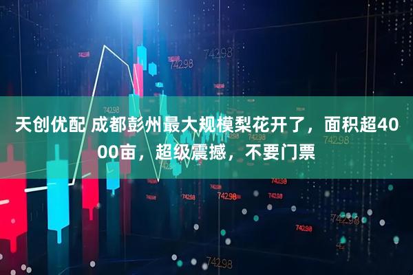 天创优配 成都彭州最大规模梨花开了，面积超4000亩，超级震撼，不要门票