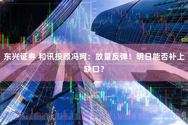 东兴证券 和讯投顾冯珂：放量反弹！明日能否补上缺口？