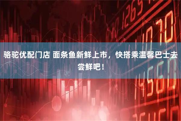 骆驼优配门店 面条鱼新鲜上市，快搭乘温馨巴士去尝鲜吧！