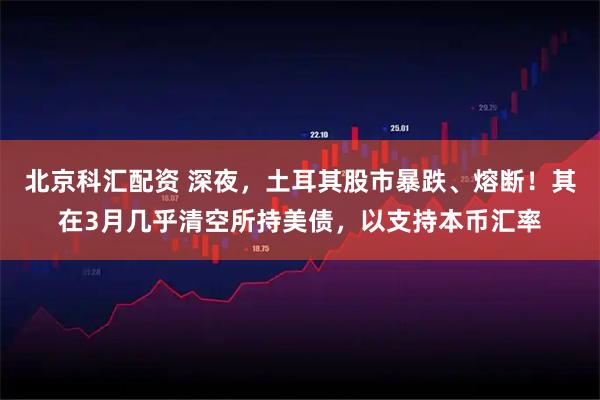 北京科汇配资 深夜，土耳其股市暴跌、熔断！其在3月几乎清空所持美债，以支持本币汇率