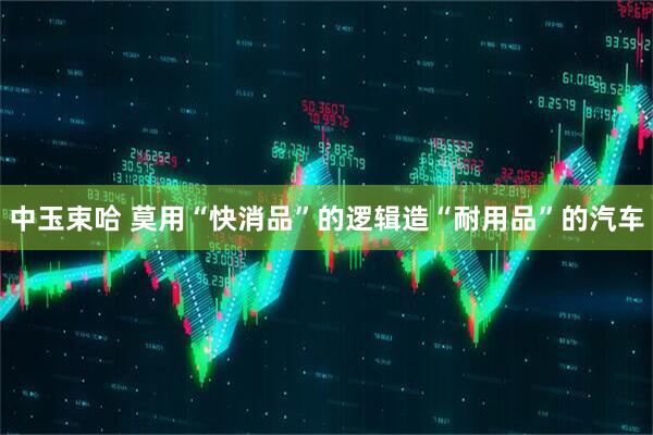 中玉束哈 莫用“快消品”的逻辑造“耐用品”的汽车