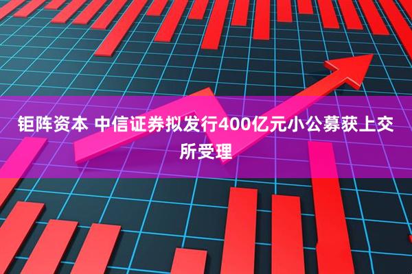 钜阵资本 中信证券拟发行400亿元小公募获上交所受理